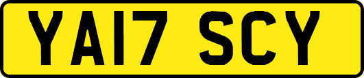 YA17SCY