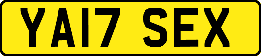 YA17SEX