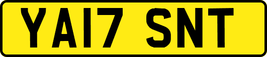 YA17SNT