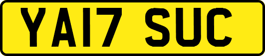 YA17SUC