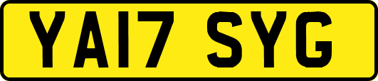 YA17SYG