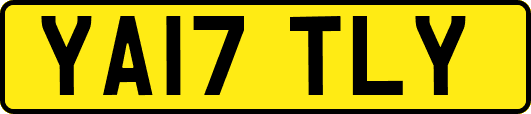 YA17TLY