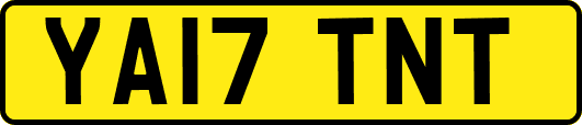 YA17TNT
