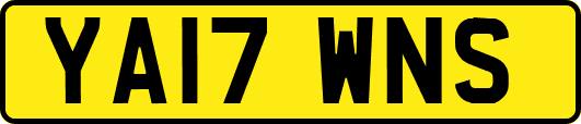 YA17WNS