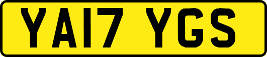 YA17YGS