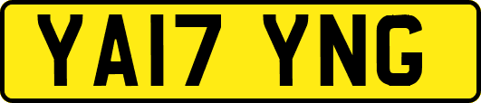 YA17YNG