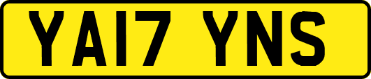 YA17YNS