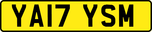 YA17YSM