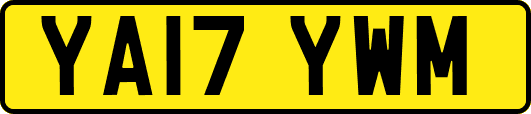 YA17YWM