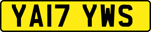 YA17YWS