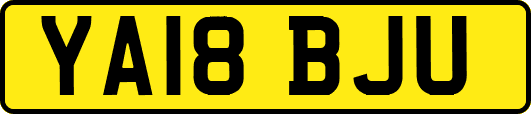 YA18BJU