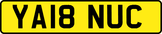 YA18NUC