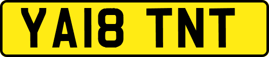 YA18TNT