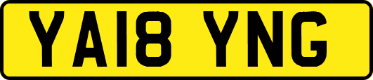YA18YNG