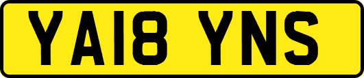 YA18YNS