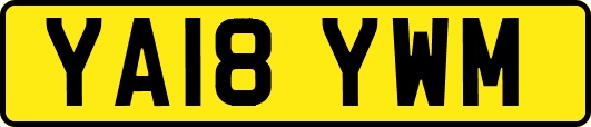 YA18YWM