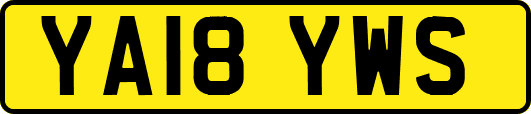 YA18YWS