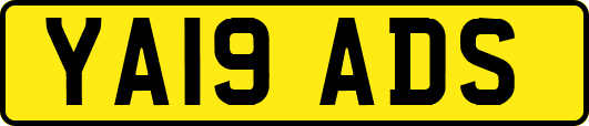 YA19ADS