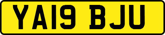YA19BJU