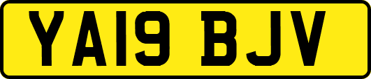YA19BJV