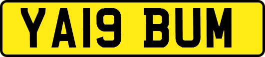 YA19BUM