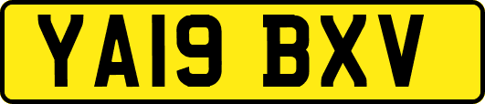 YA19BXV