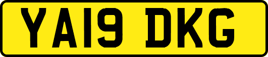 YA19DKG
