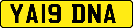YA19DNA