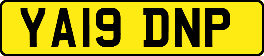 YA19DNP