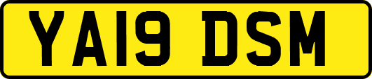 YA19DSM