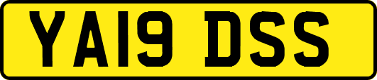 YA19DSS