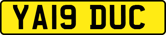 YA19DUC