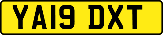 YA19DXT