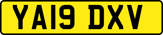 YA19DXV