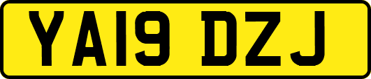 YA19DZJ