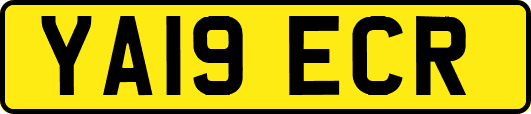YA19ECR