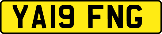 YA19FNG