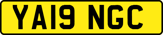YA19NGC