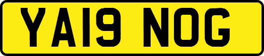 YA19NOG