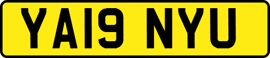 YA19NYU