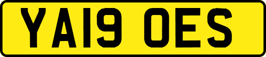 YA19OES
