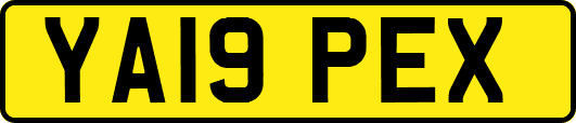 YA19PEX
