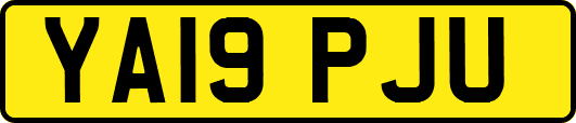 YA19PJU