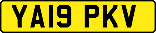 YA19PKV