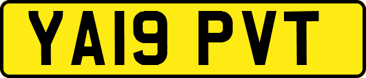 YA19PVT