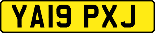 YA19PXJ