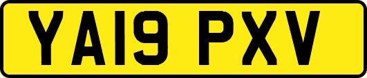 YA19PXV