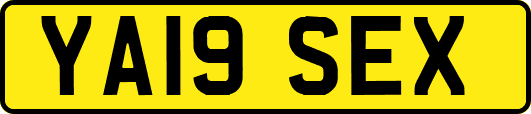 YA19SEX