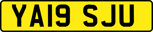 YA19SJU
