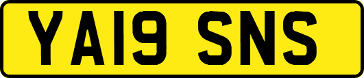 YA19SNS